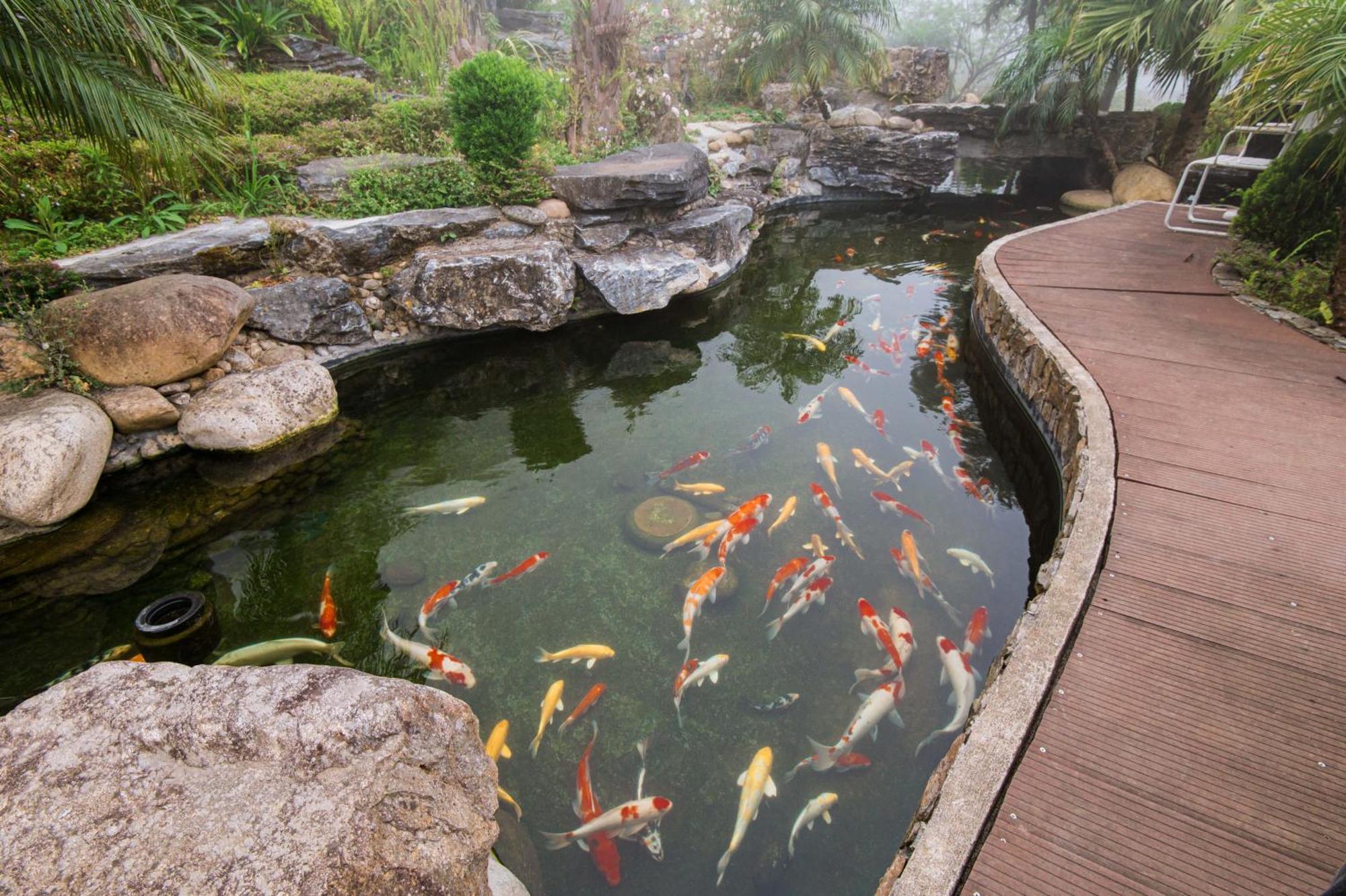 Sapa Catcat Hills Resort & Spa מראה חיצוני תמונה
